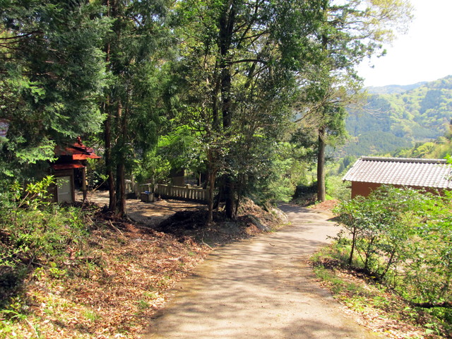 t14_130.jpg