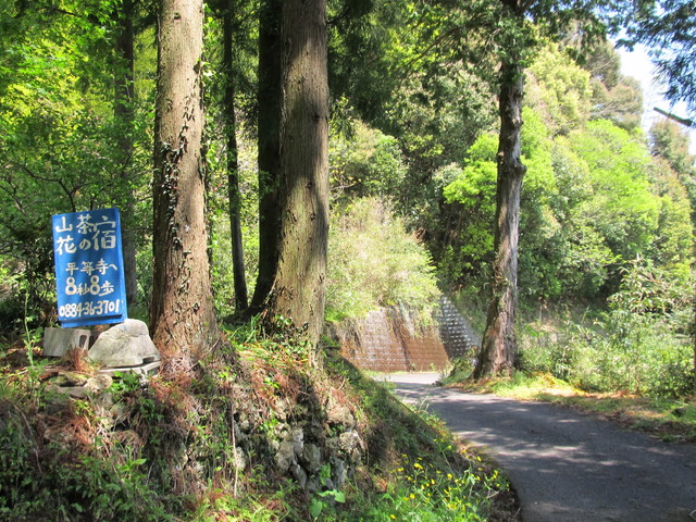 t14_133.jpg