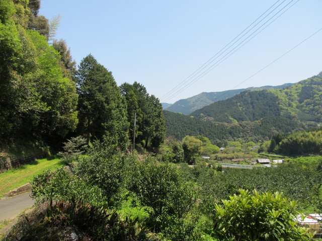 t14_134.jpg