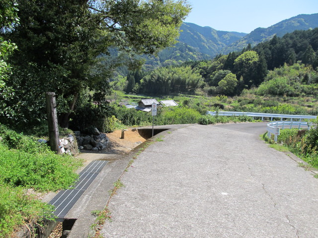 t14_136.jpg