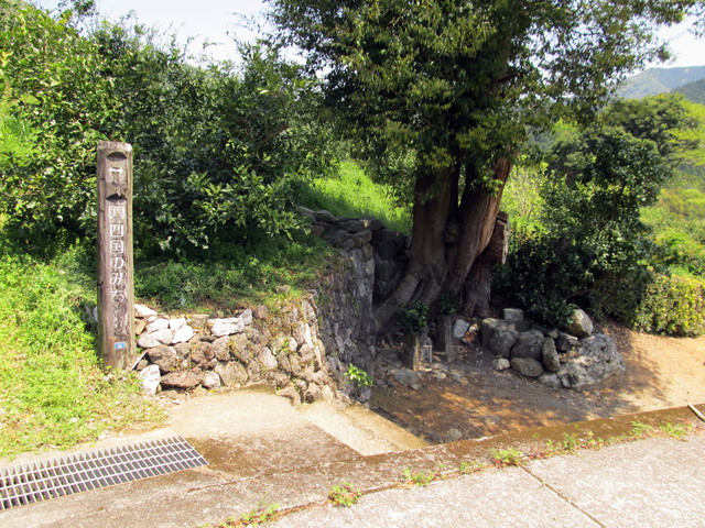 t14_137.jpg