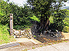 t14_137_thumb.jpg