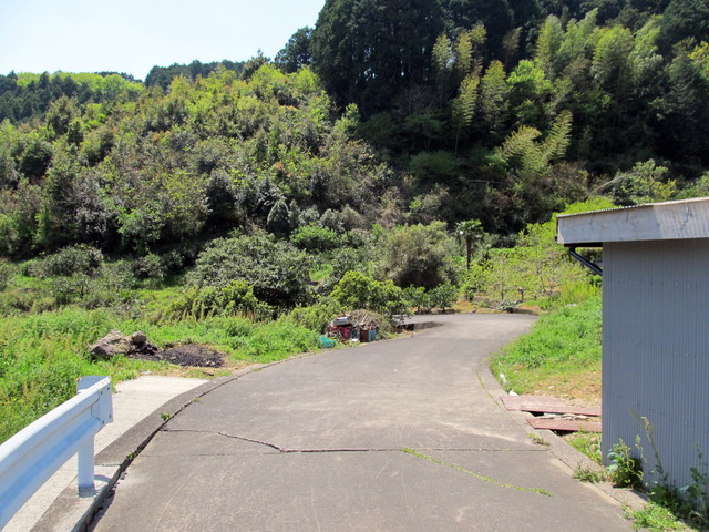 t14_138.jpg