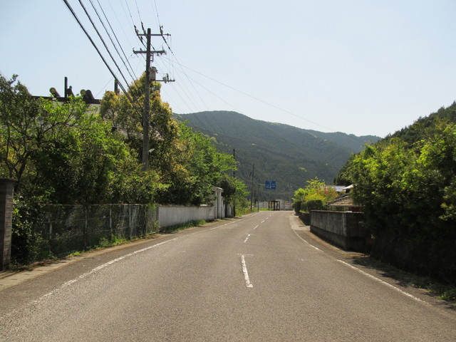 t14_145.jpg