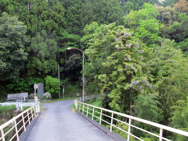 t15_007.jpg