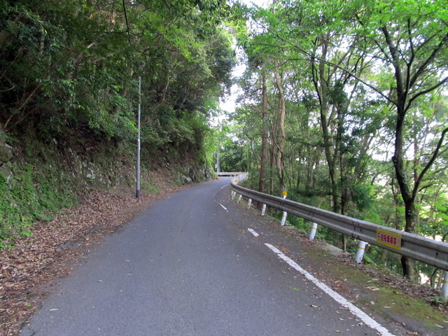 t15_008.jpg