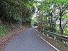 t15_008_thumb.jpg