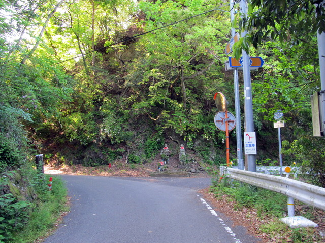 t15_009.jpg