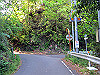 t15_009_thumb.jpg