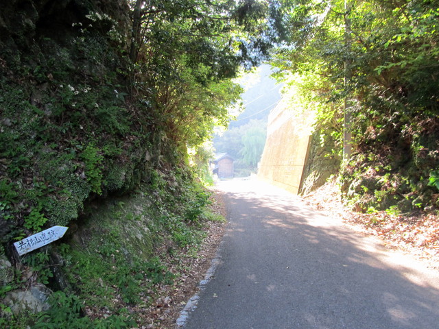 t15_010.jpg