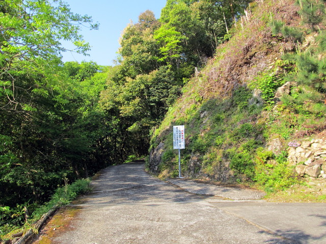 t15_013.jpg