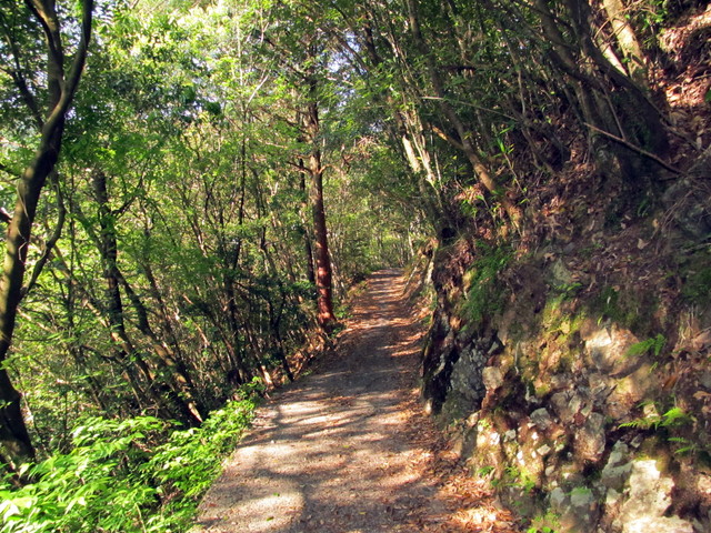 t15_014.jpg