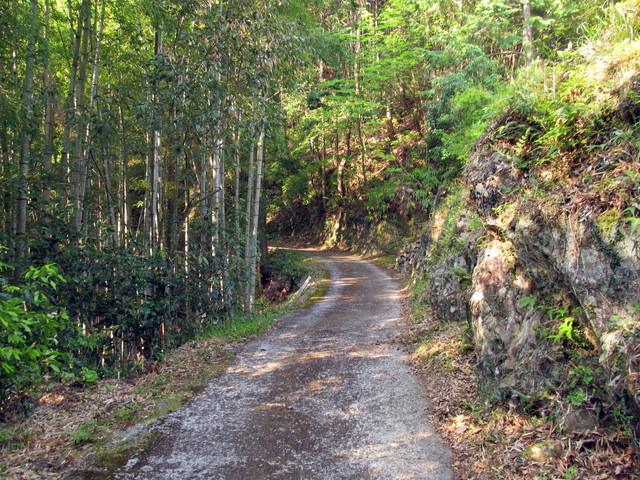 t15_016.jpg