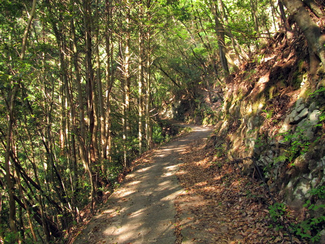 t15_017.jpg