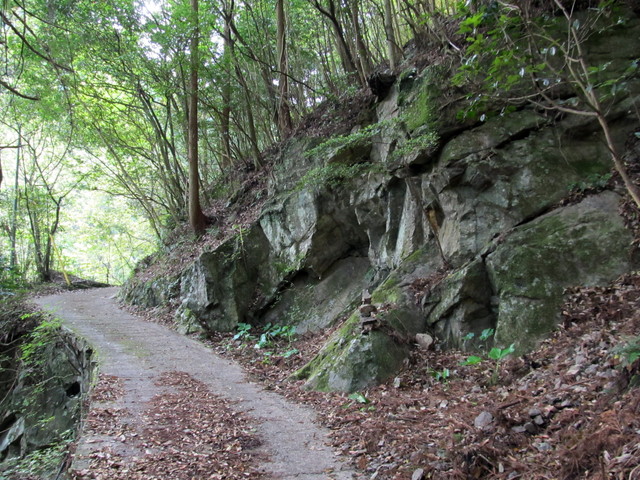 t15_022.jpg