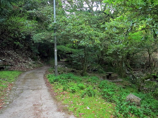 t15_024.jpg