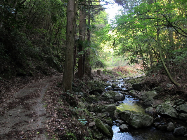 t15_030.jpg