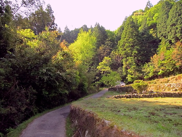 t15_034.jpg