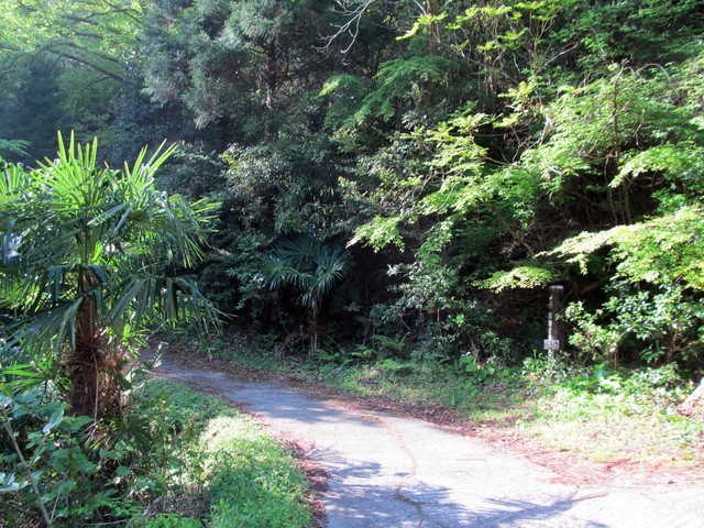 t15_035.jpg