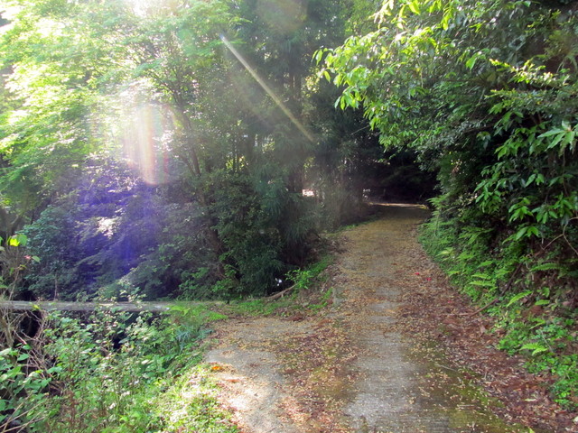 t15_036.jpg
