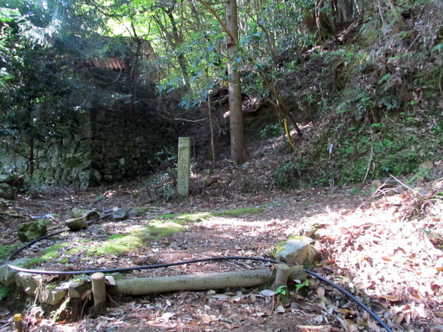 t15_038.jpg