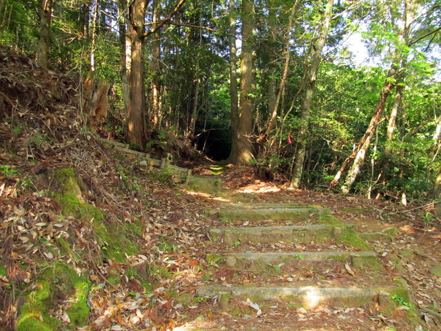 t15_039.jpg