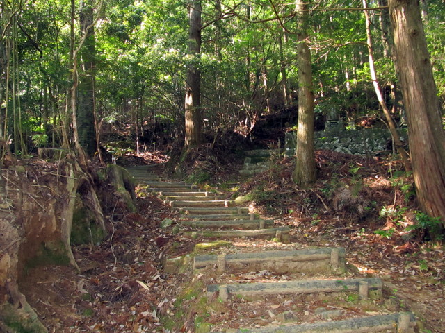 t15_040.jpg