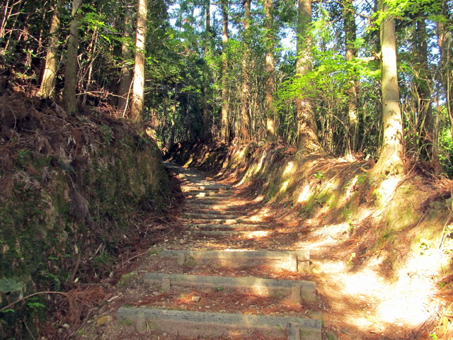 t15_041.jpg