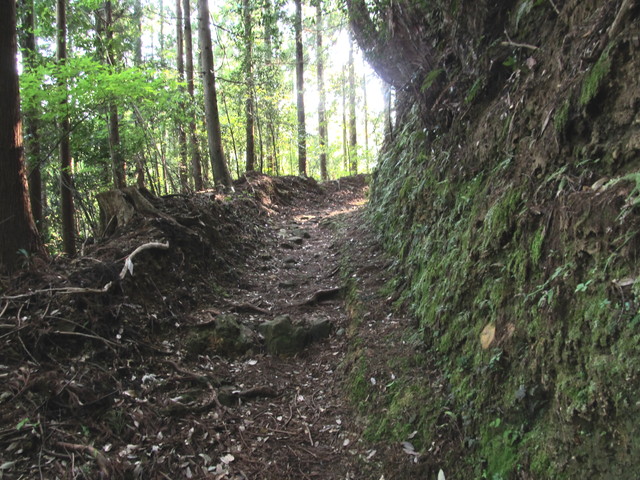 t15_042.jpg