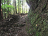 t15_042_thumb.jpg