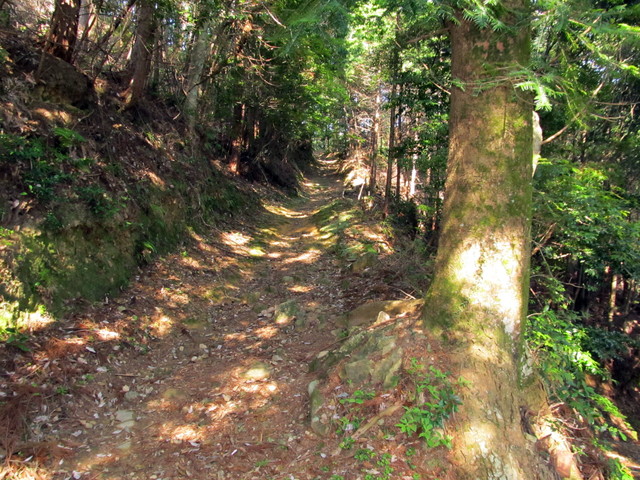 t15_045.jpg