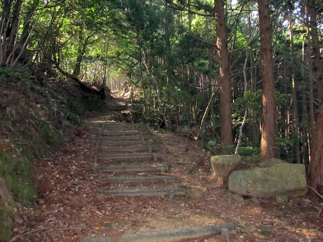 t15_050.jpg