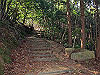 t15_050_thumb.jpg