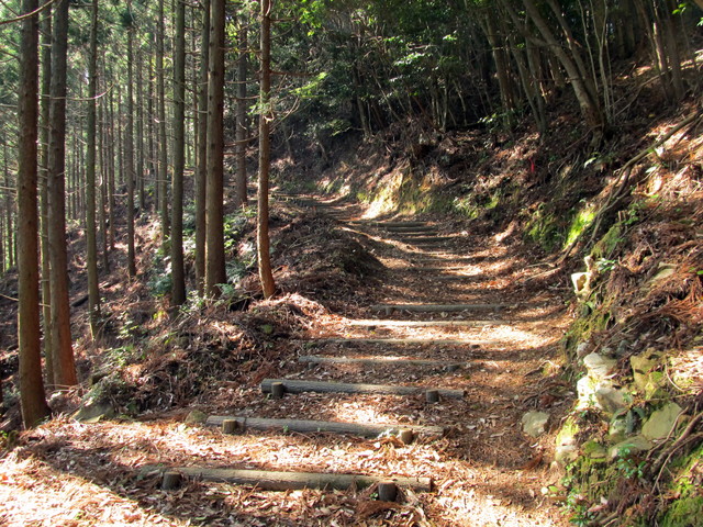 t15_052.jpg