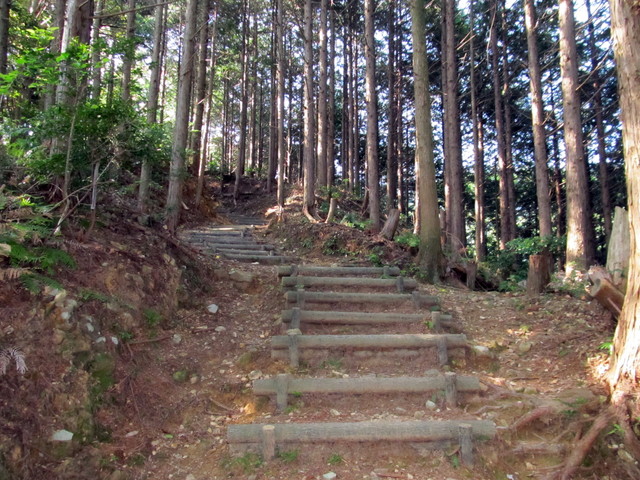 t15_054.jpg