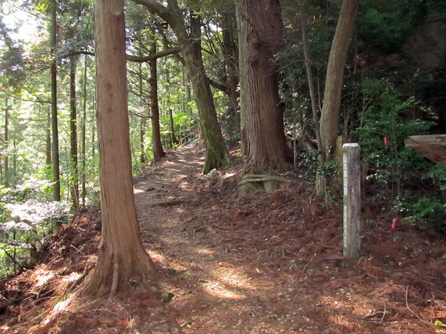 t15_056.jpg