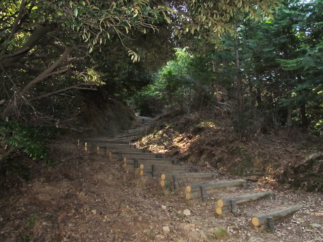 t15_057.jpg