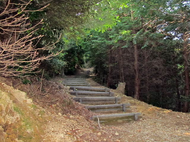 t15_058.jpg