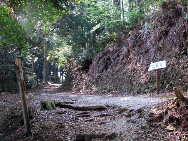 t15_059.jpg
