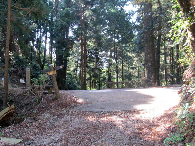 t15_060.jpg