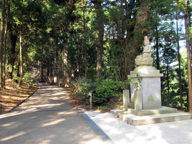 t15_063.jpg