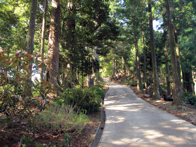 t15_064.jpg