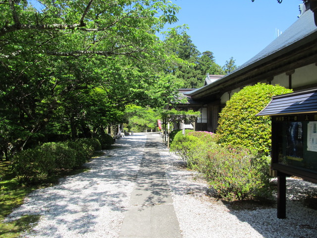 t15_067.jpg
