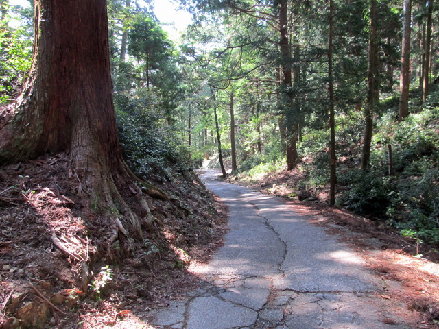 t15_072.jpg