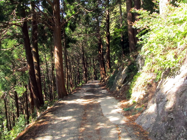 t15_073.jpg