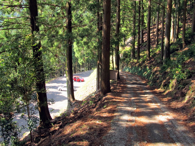 t15_075.jpg