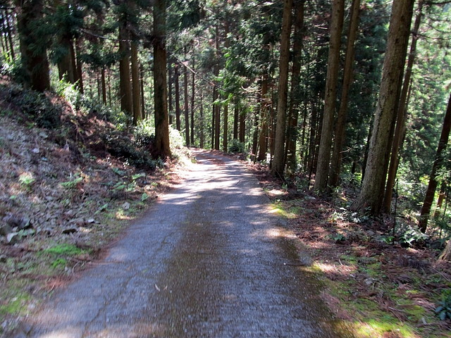 t15_077.jpg