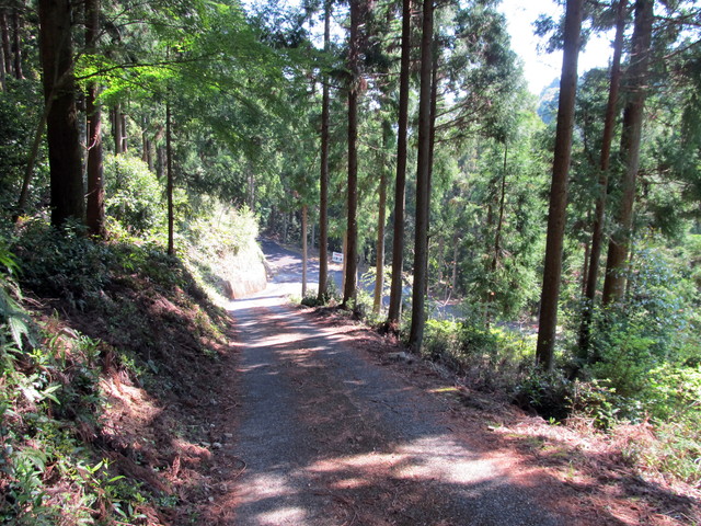 t15_078.jpg