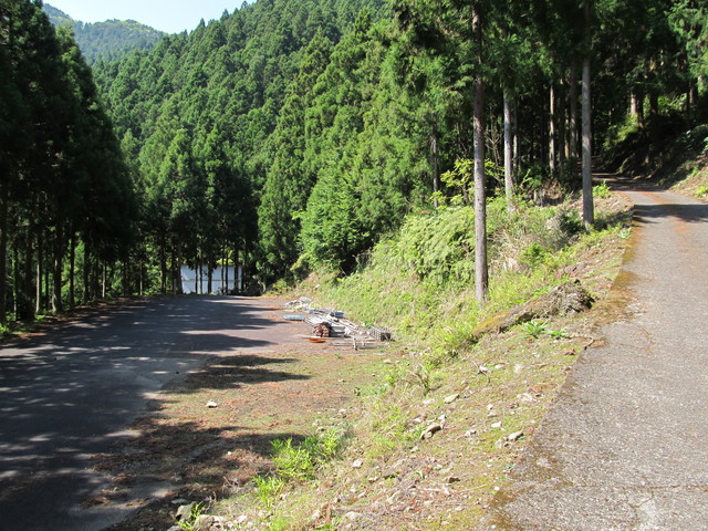 t15_079.jpg