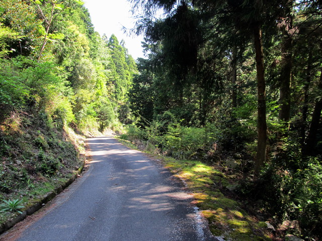 t15_081.jpg